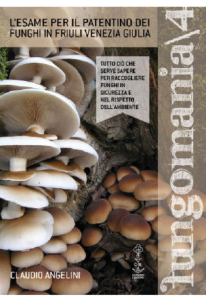 copertina libro con chiodini