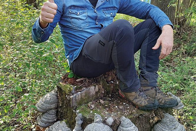 claudio nel bosco seduto su un ceppo