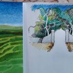 illustrazione verde