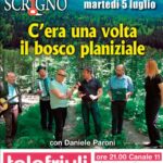 locandina lo scrigno telefriuli