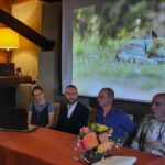 i 3 fotografi con sfondo volpe